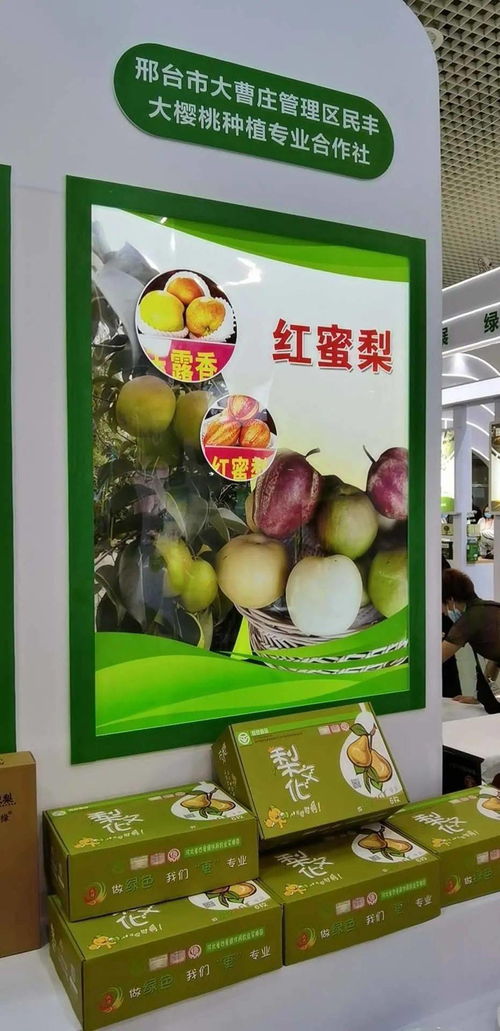 寧晉綠色農產品在廈門綠博會廣受歡迎，水產品零售表現搶眼